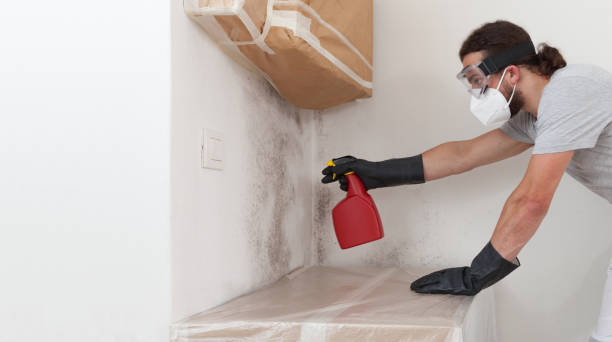 Professional Mold Removal technician working in Danville, VA