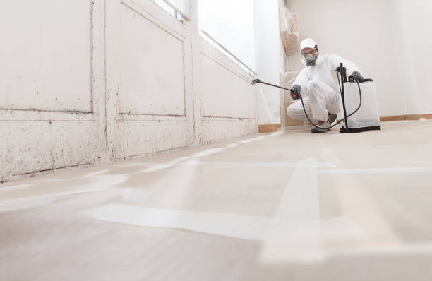 24/7 Emergency Mold Removal experts in Danville, VA