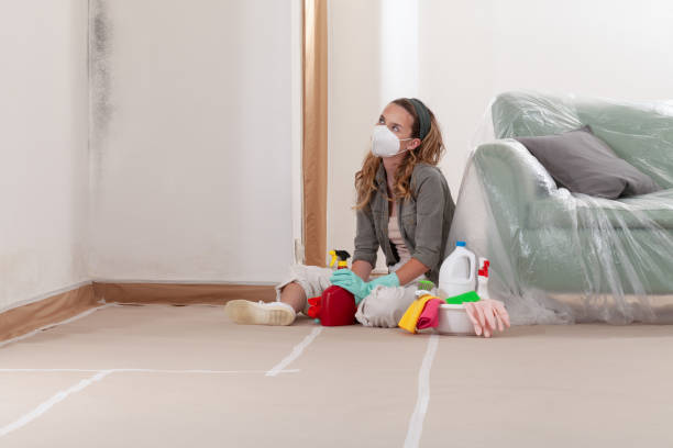 Trusted Mold Removal service in Danville, VA - WQB Mold Removal