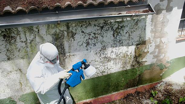 Top rated local Mold Removal specialists in Danville, VA